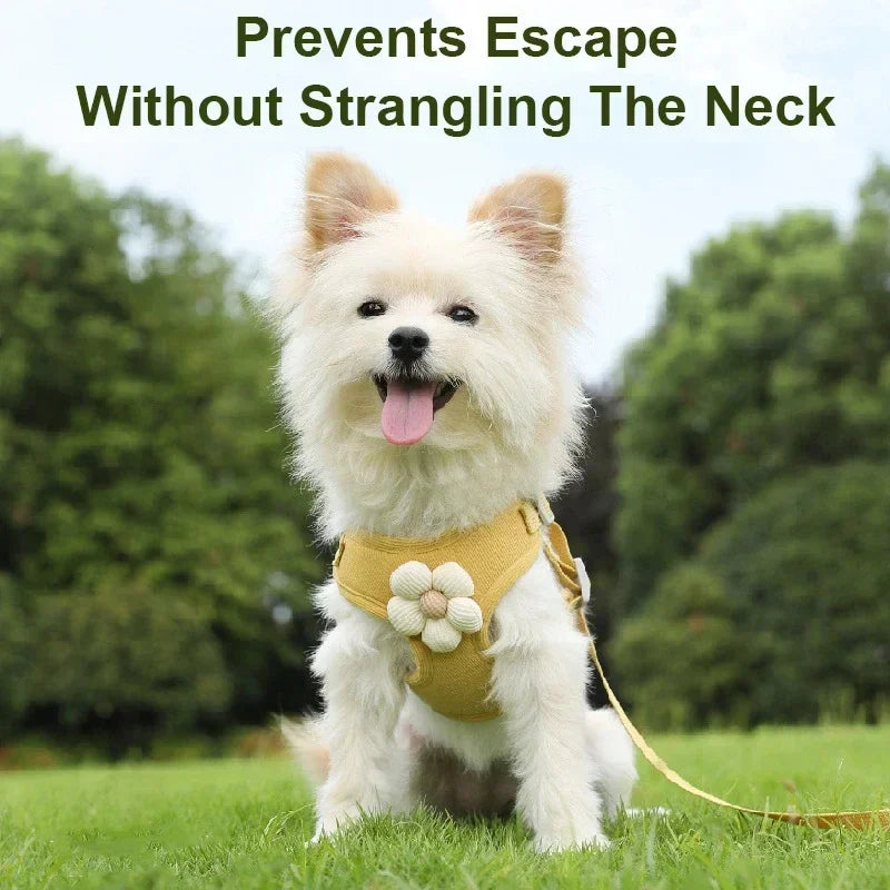 Car Seat Belt - Adjustable