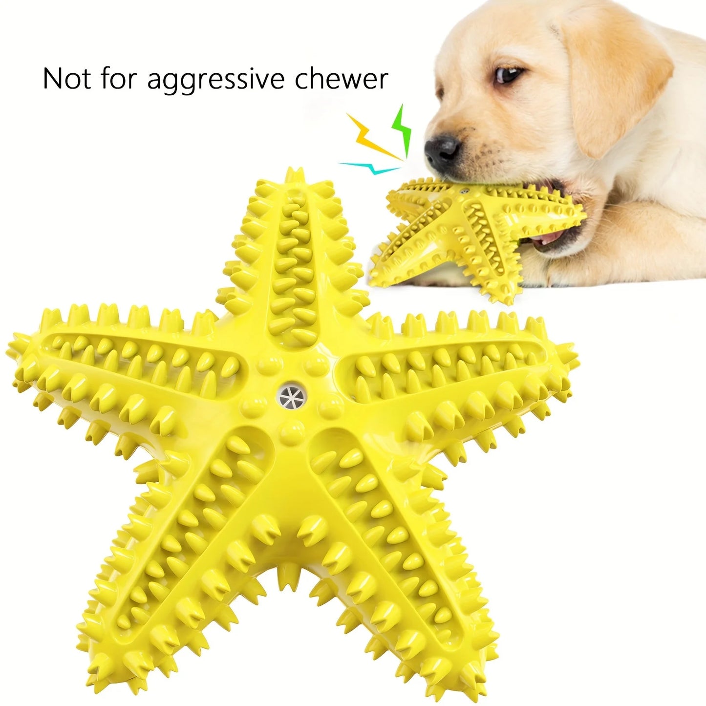 Starfish Chew