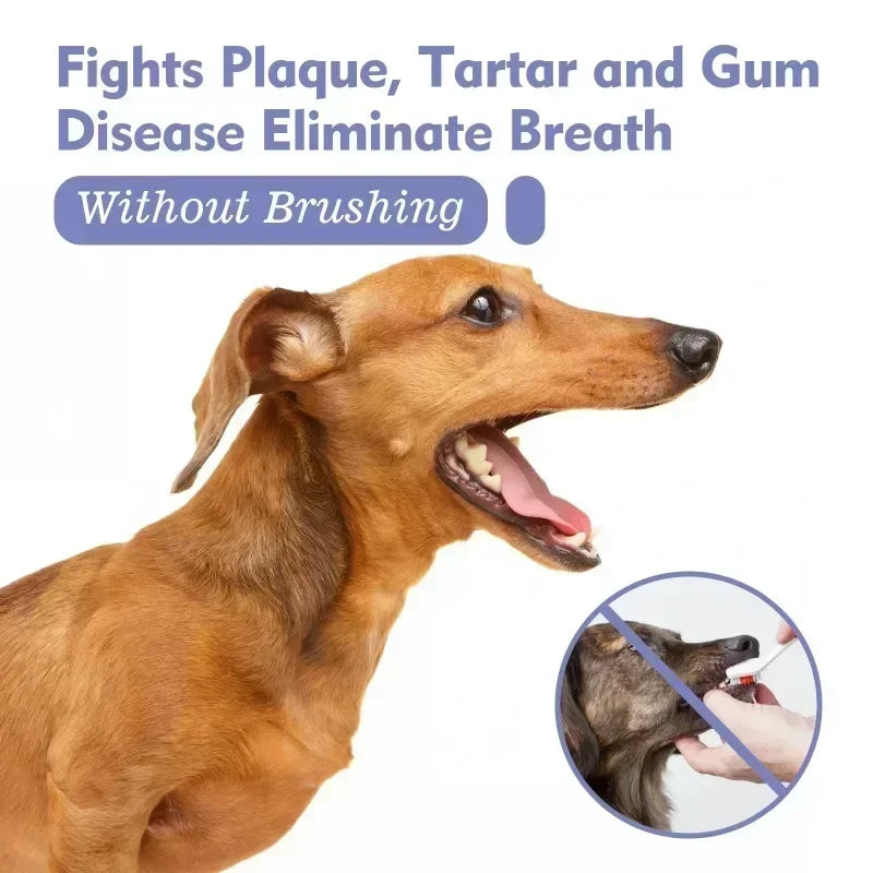 Fresh Breath Spray