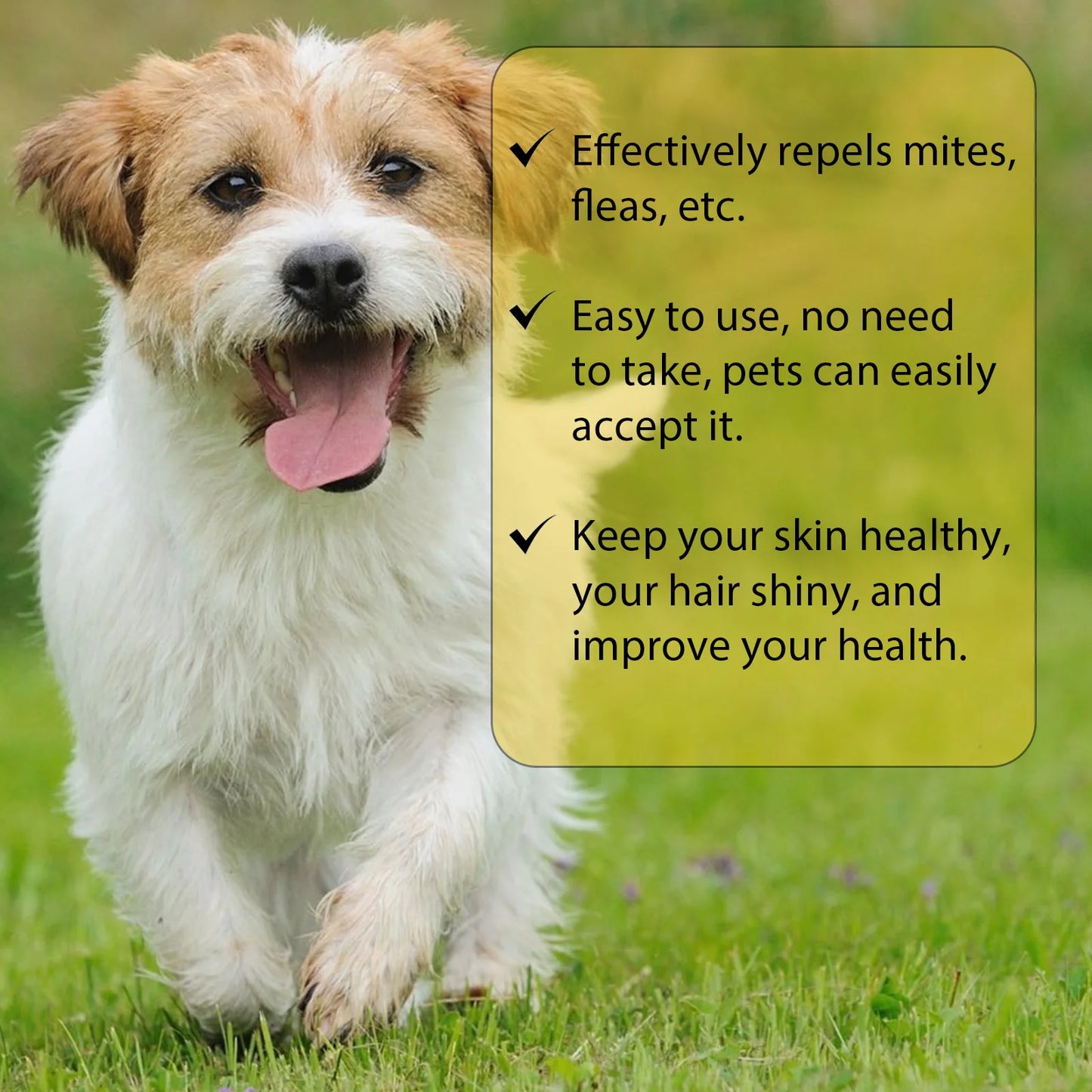 Anti-Flea Drops