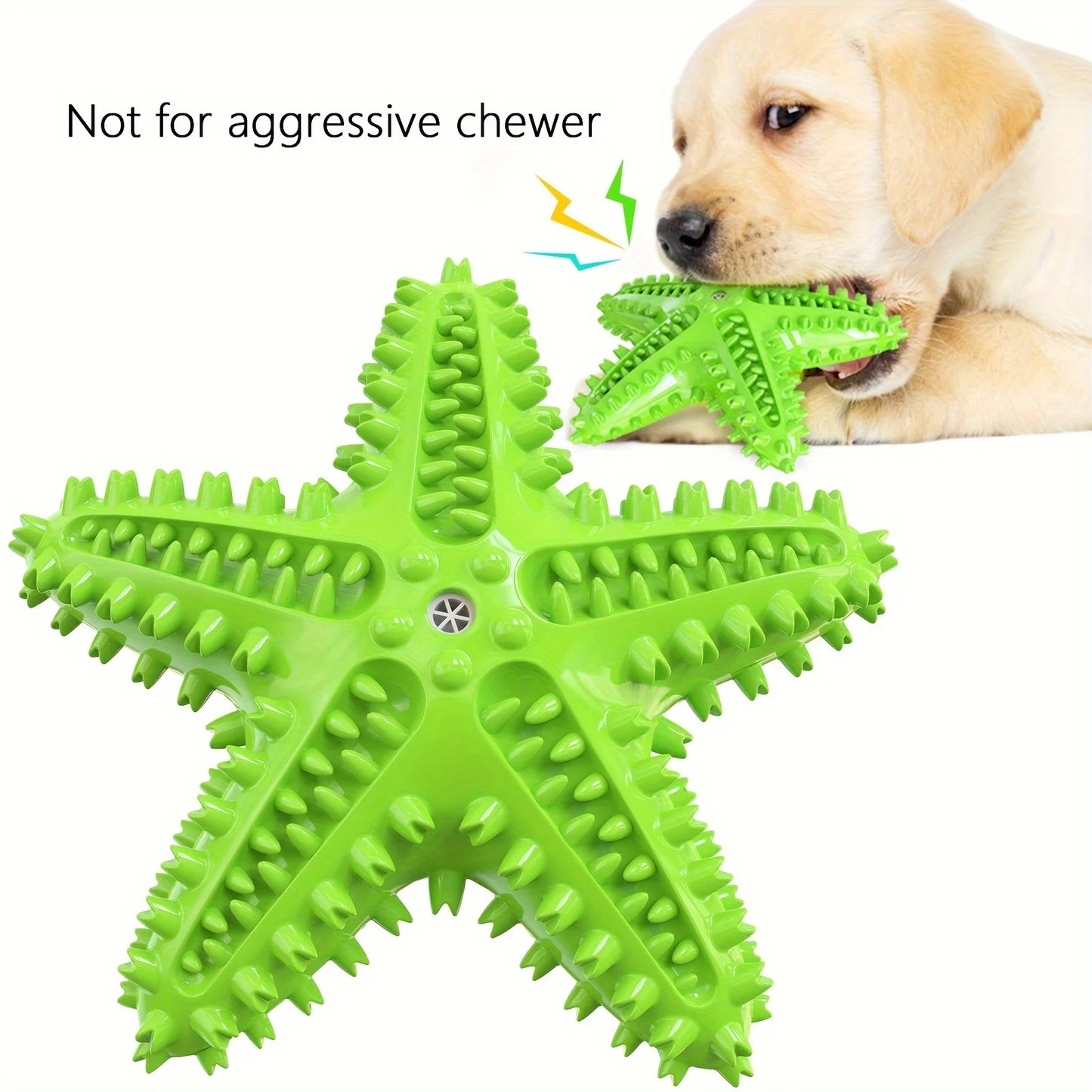 Starfish Chew
