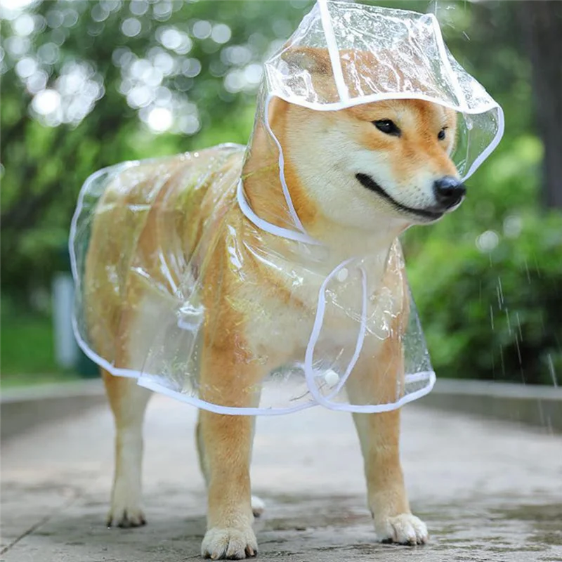 ⭐ Raincoat – Stylish