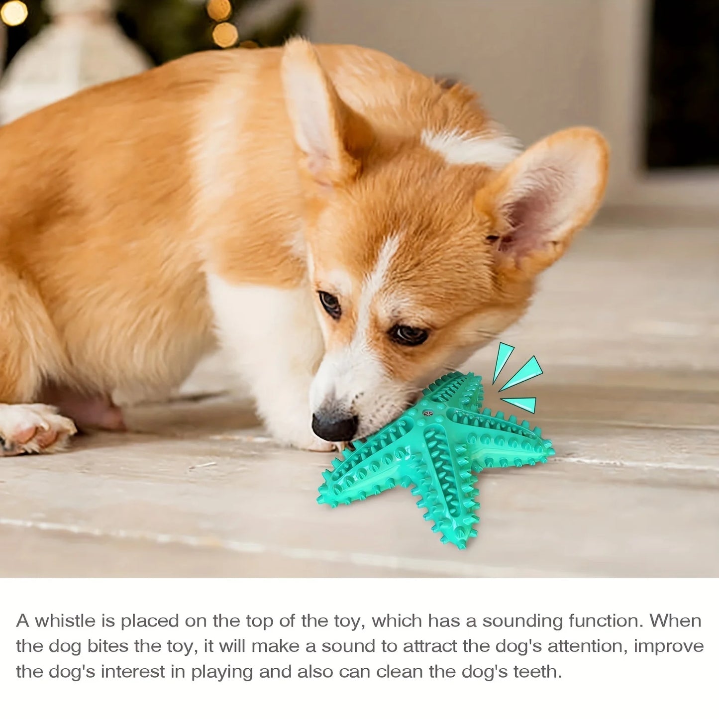 Starfish Chew