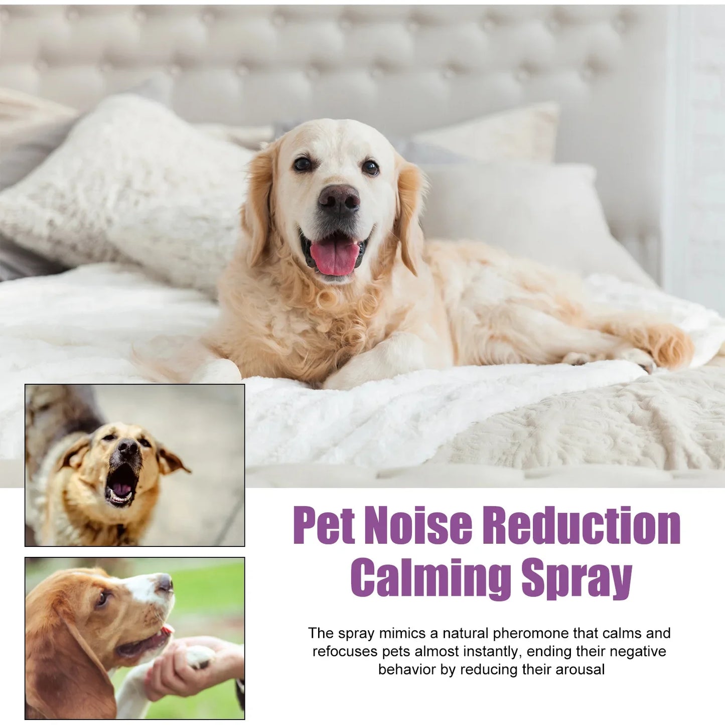 Calming Spray