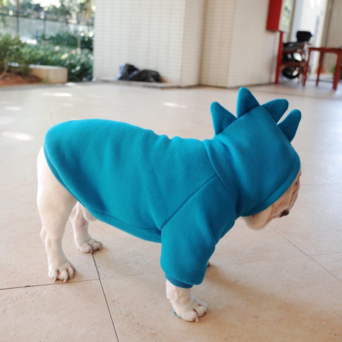 Cozy Canine Fleece Hoodie