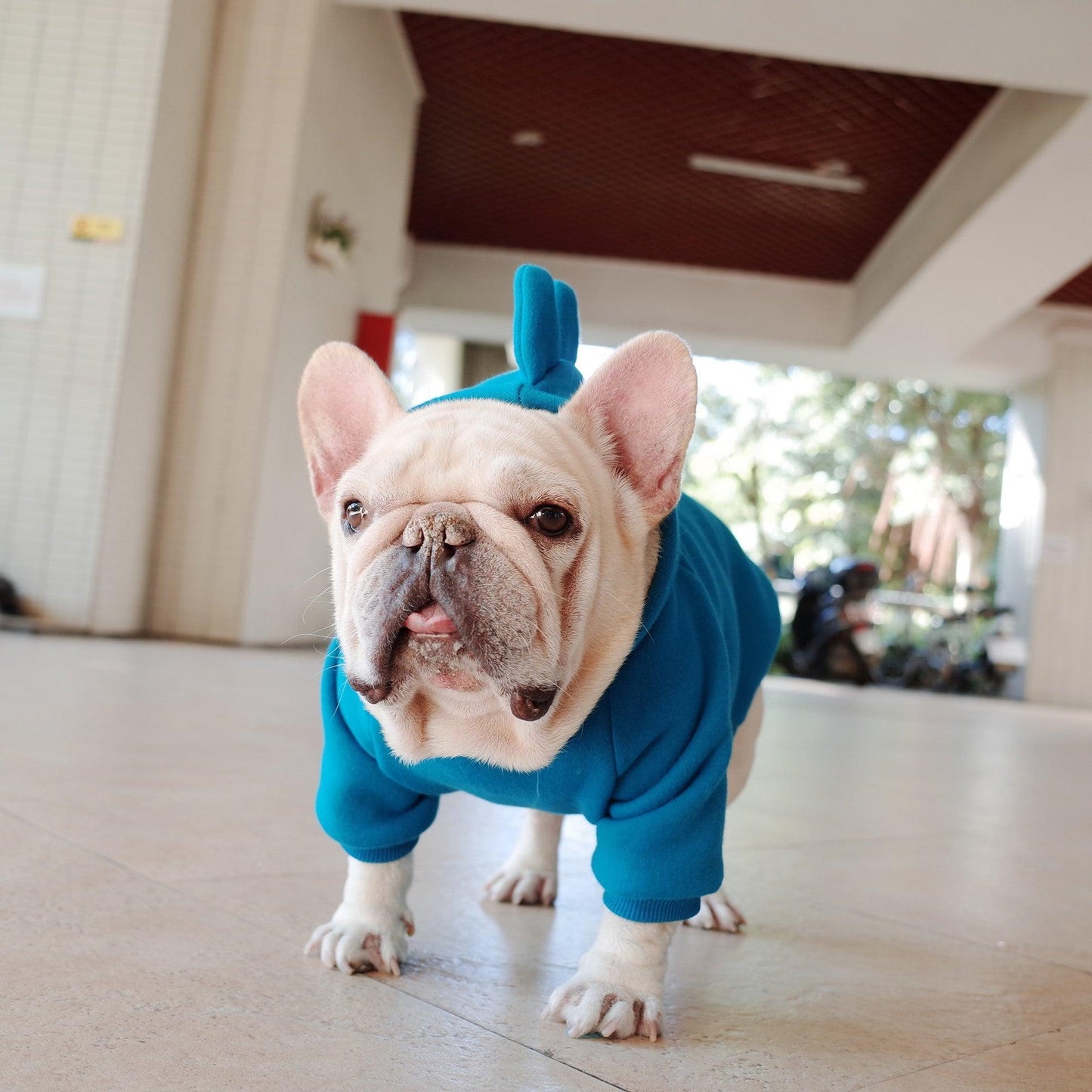 Cozy Canine Fleece Hoodie