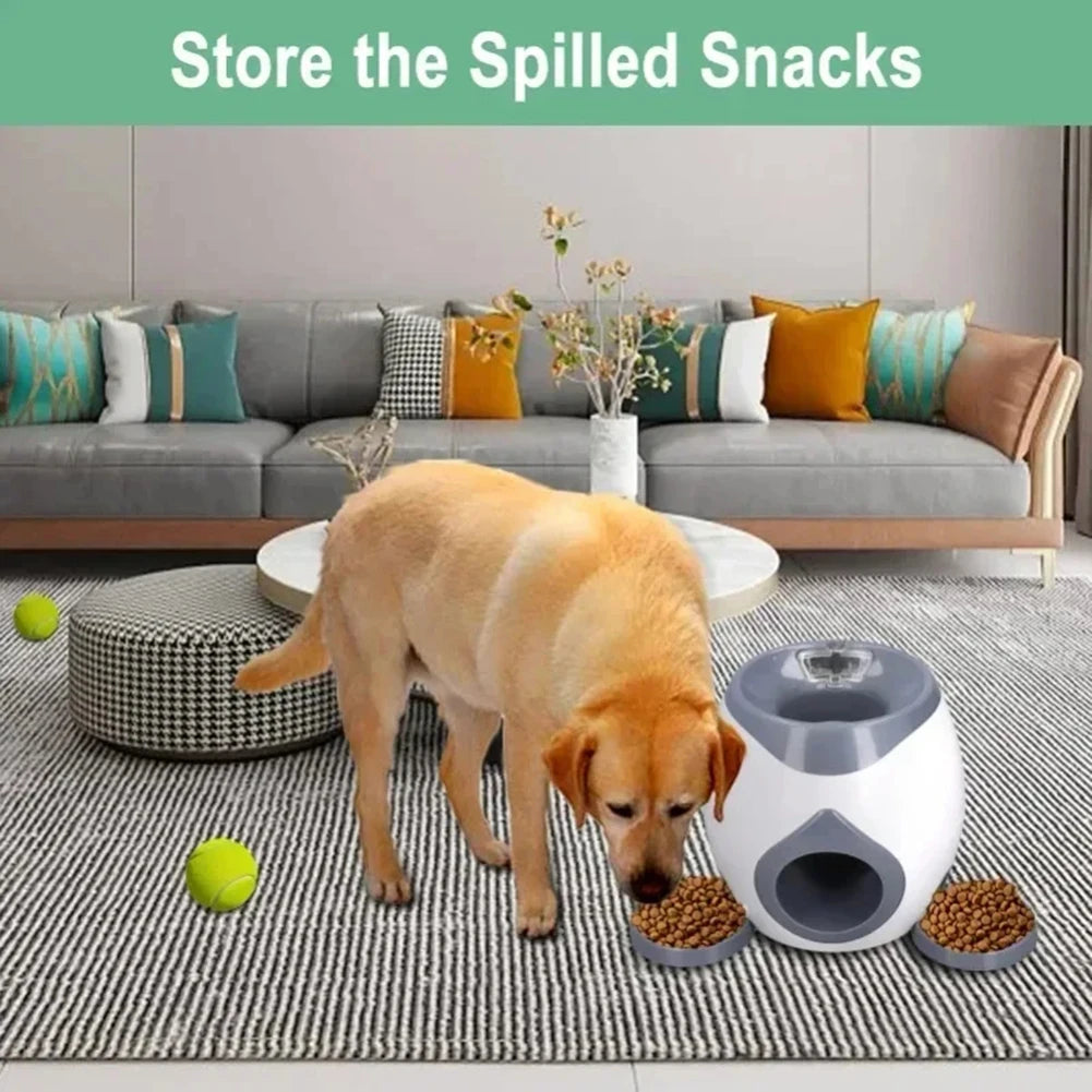 Automatic Food & Toy Launcher