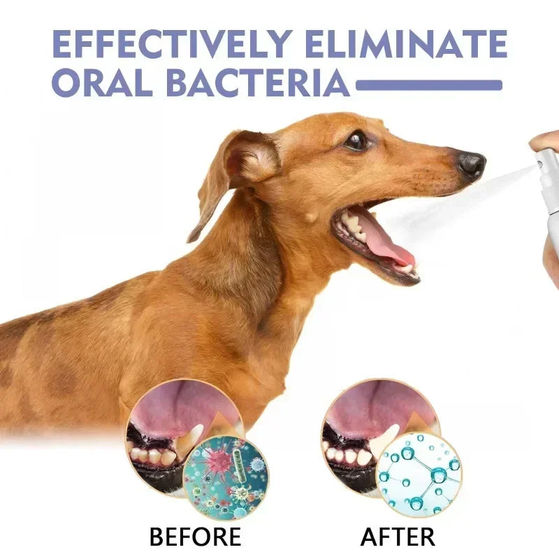 Fresh Breath Spray