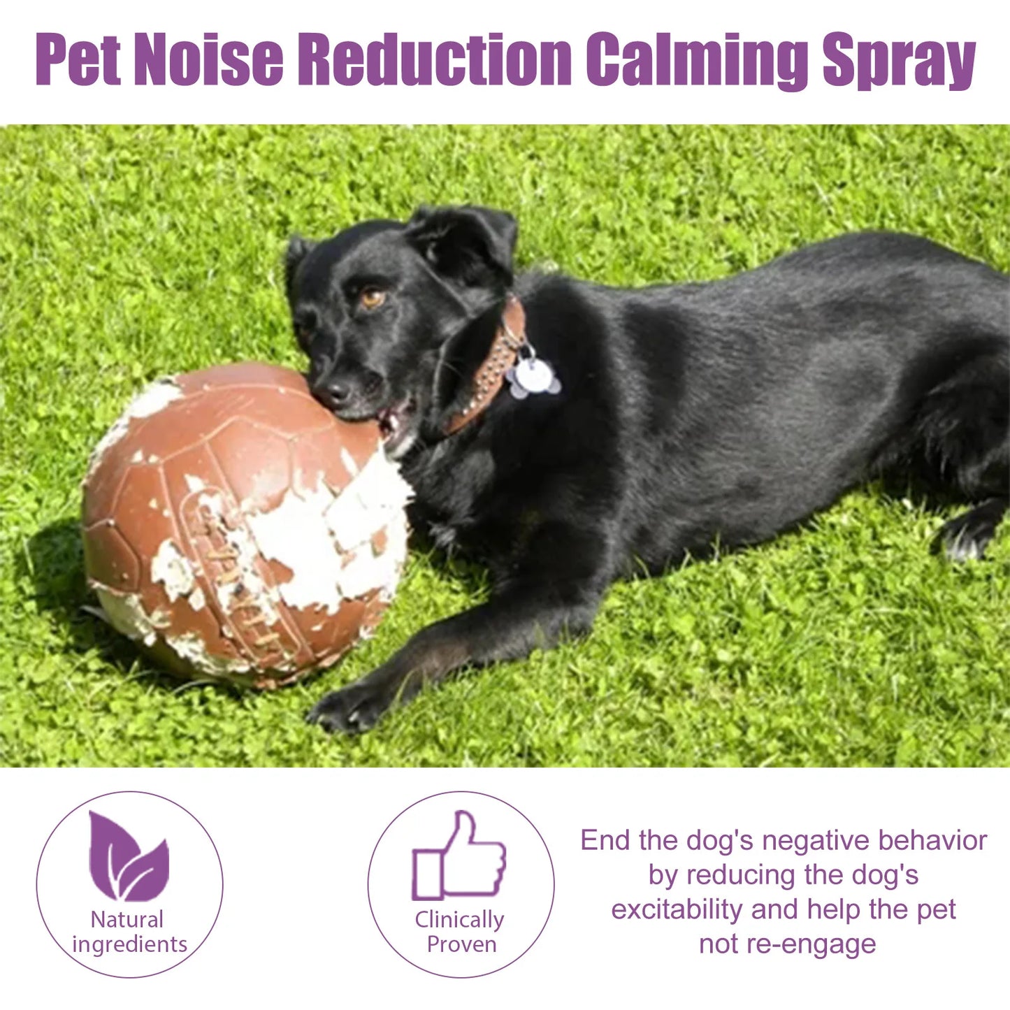 Calming Spray