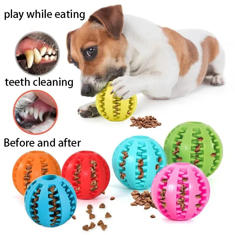 Rubber Ball – Dental Care!