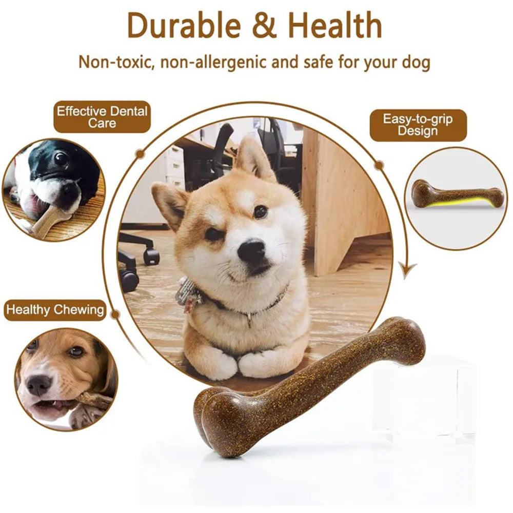 Eco Chew Toy Teeth