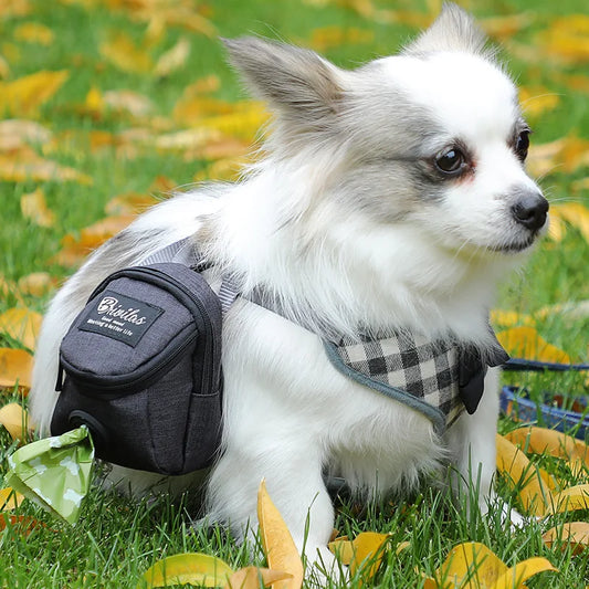⭐Treat Pouch –  Functional