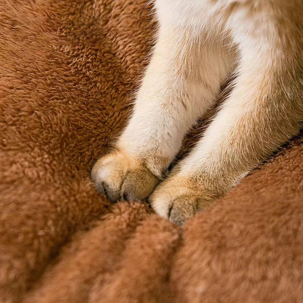 Cozy Bear