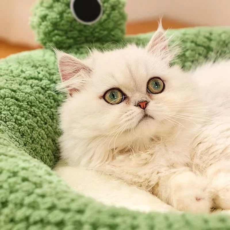 Frog Bed