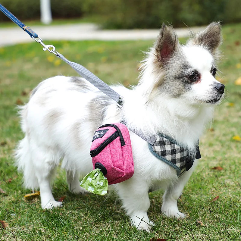⭐Treat Pouch –  Functional
