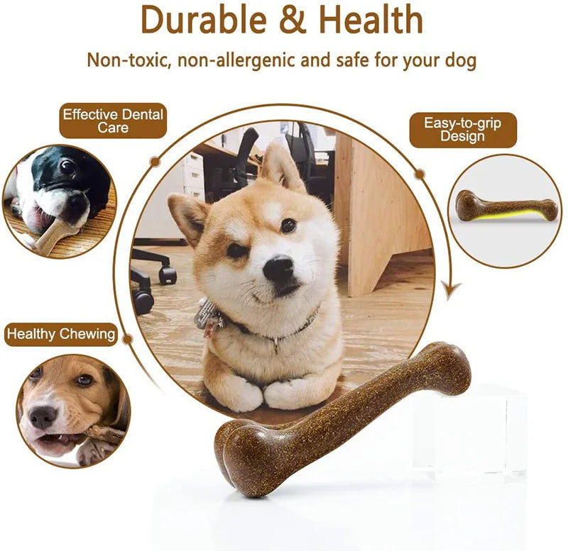 Eco Chew Toy Teeth
