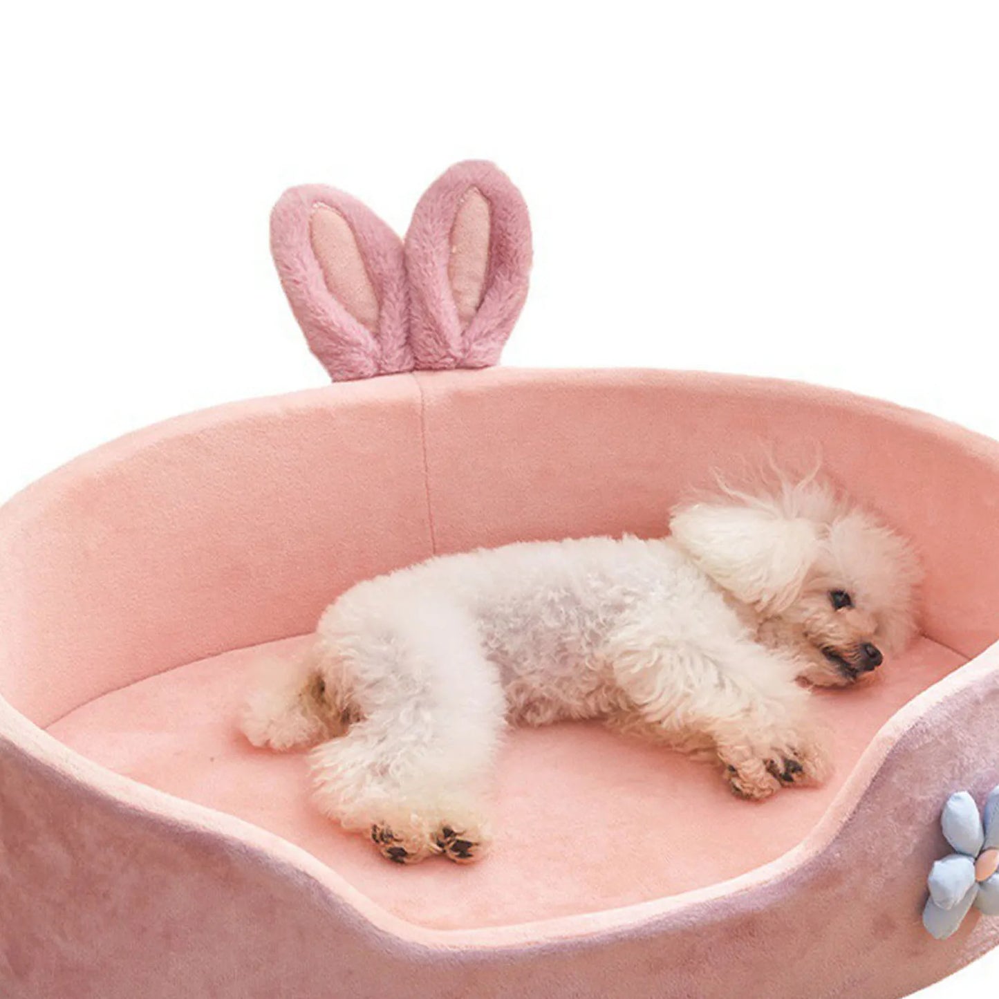 Pink Bed