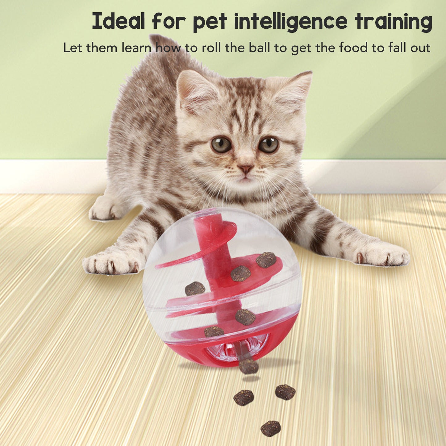 Treat Ball