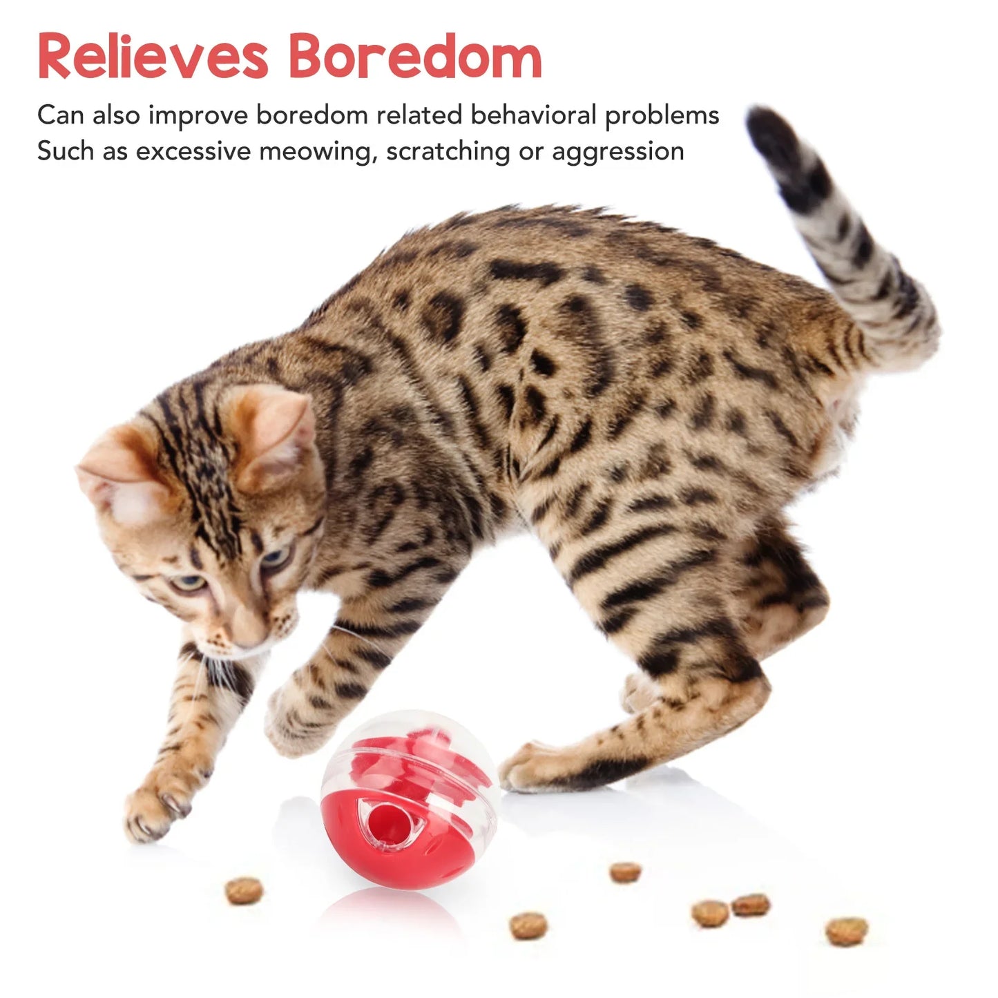 Treat Ball
