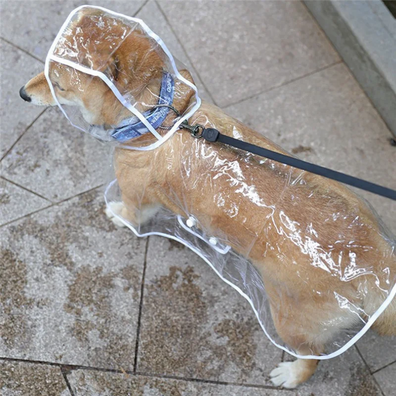 ⭐ Raincoat – Stylish