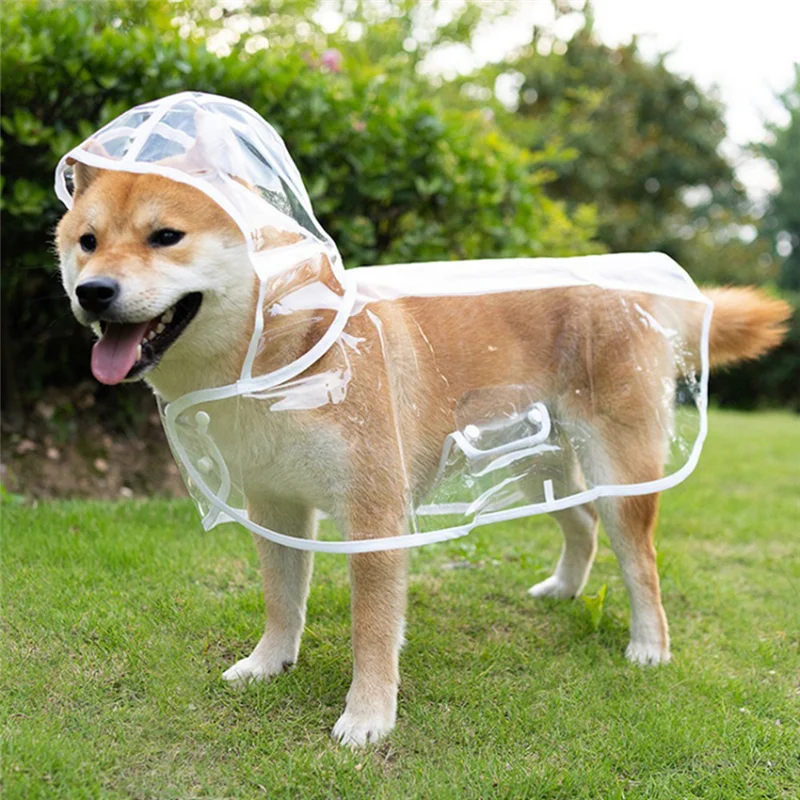 ⭐ Raincoat – Stylish