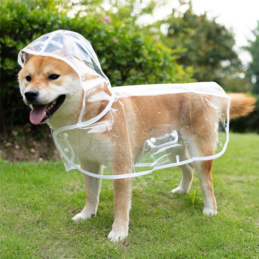 ⭐ Raincoat – Stylish