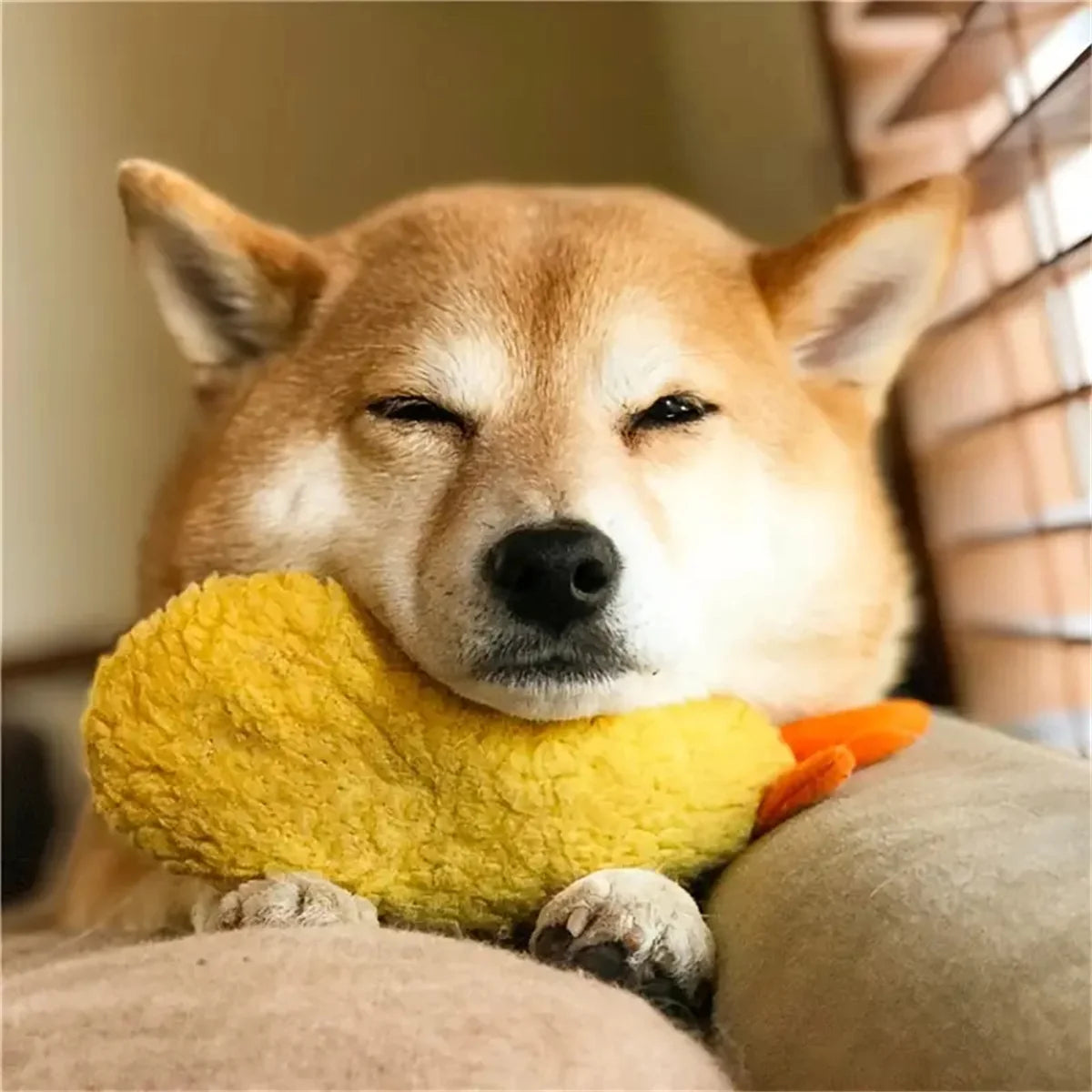 Plush Dog Toy