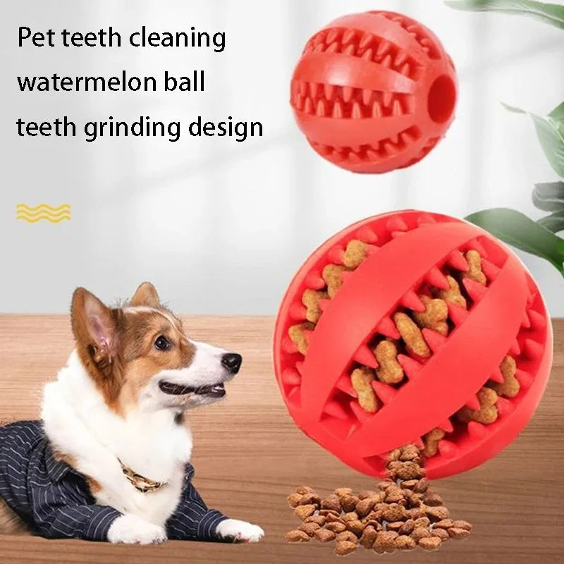 Rubber Ball – Dental Care!