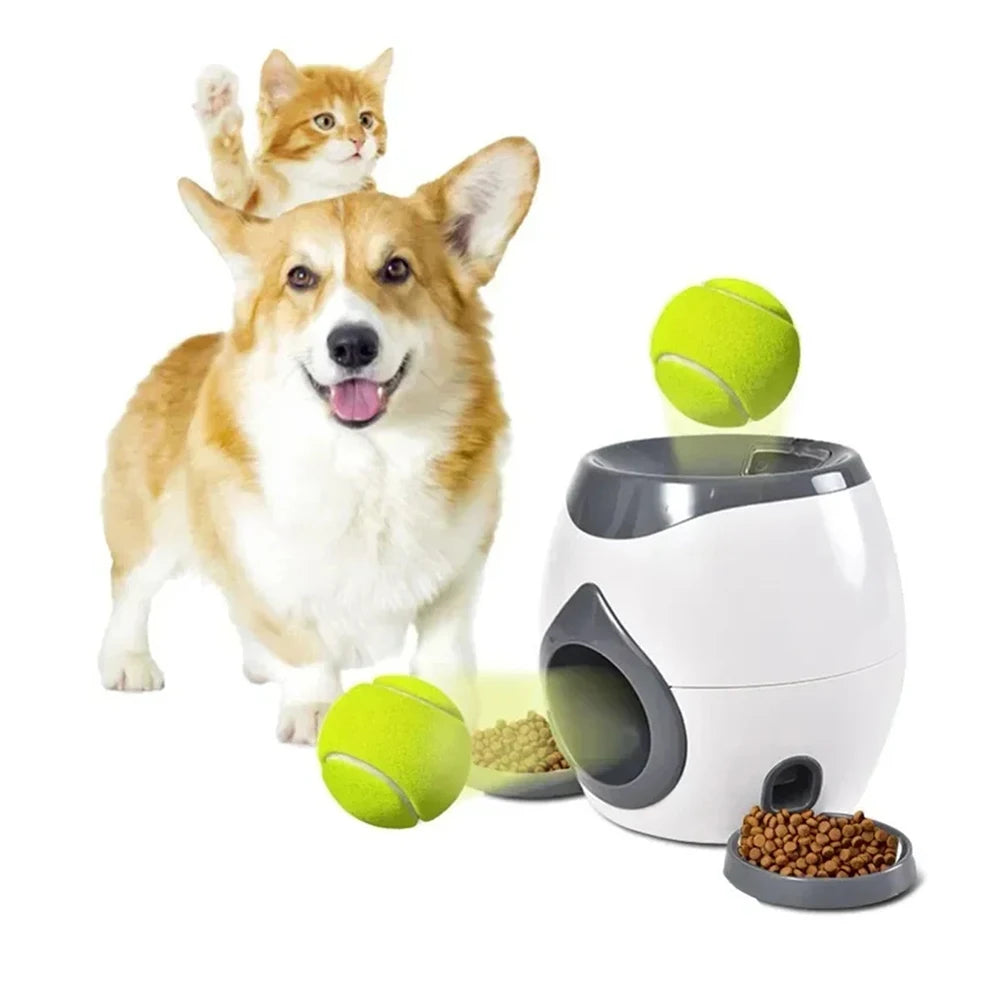 Automatic Food & Toy Launcher