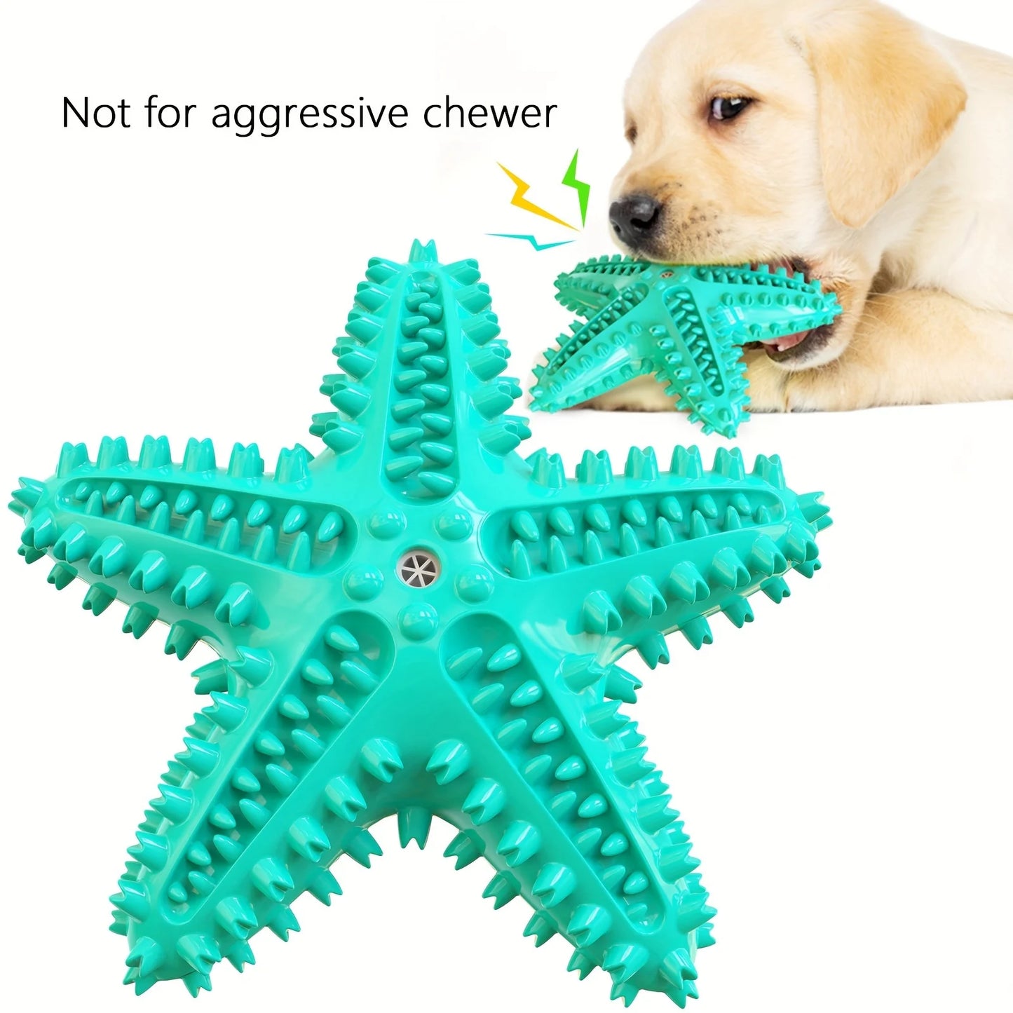 Starfish Chew