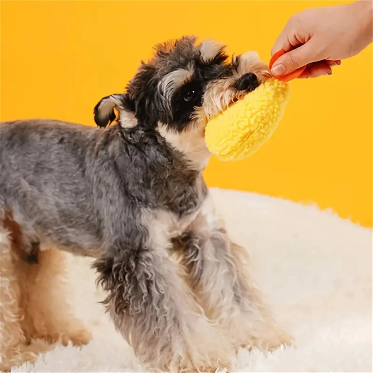 Plush Dog Toy