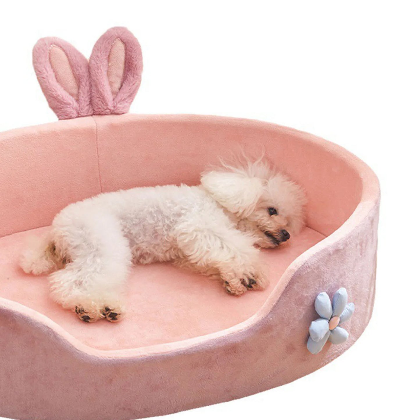 Pink Bed
