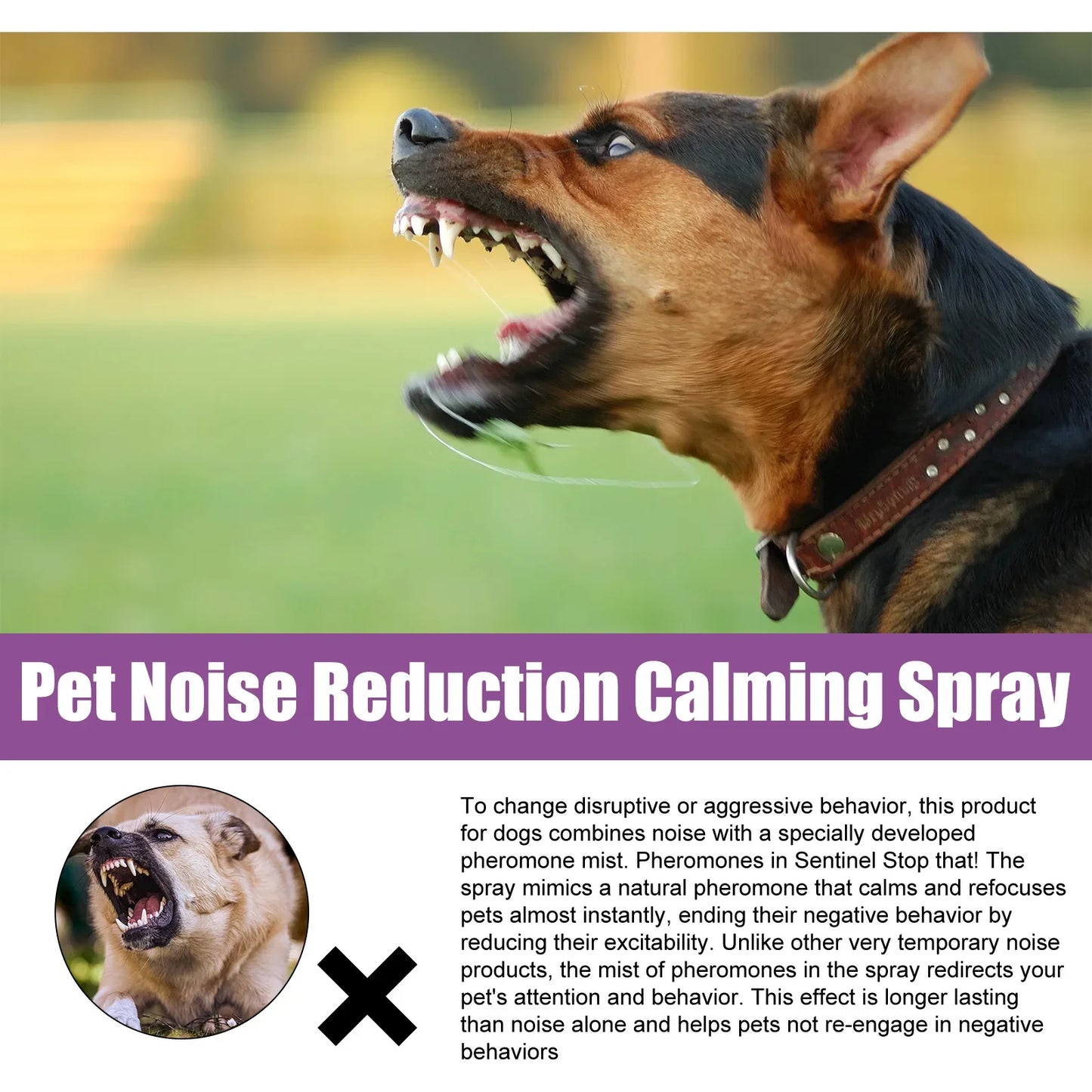 Calming Spray