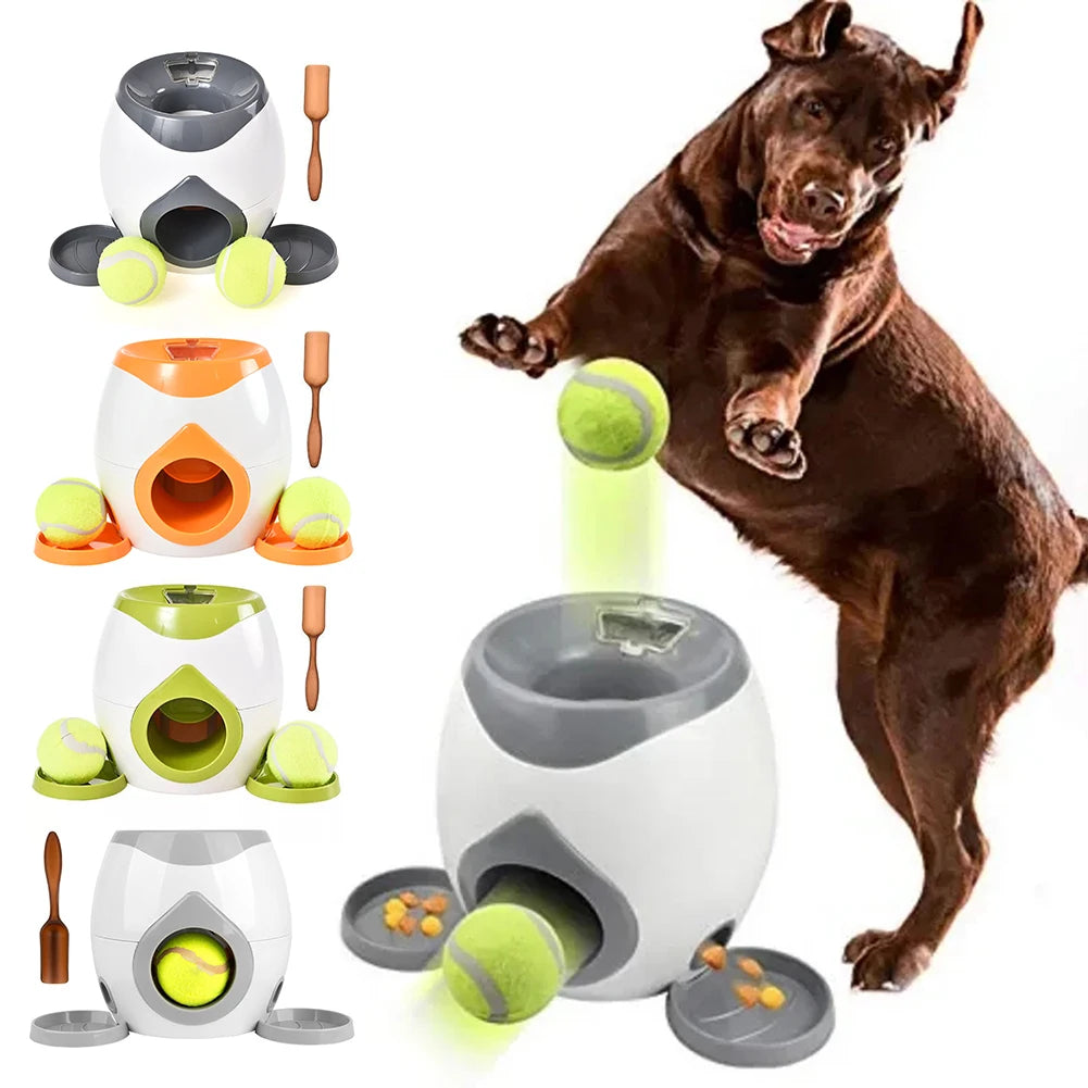Automatic Food & Toy Launcher