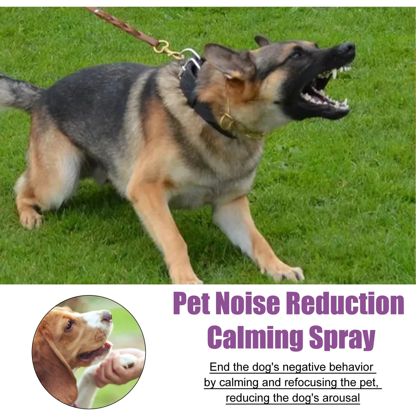 Calming Spray