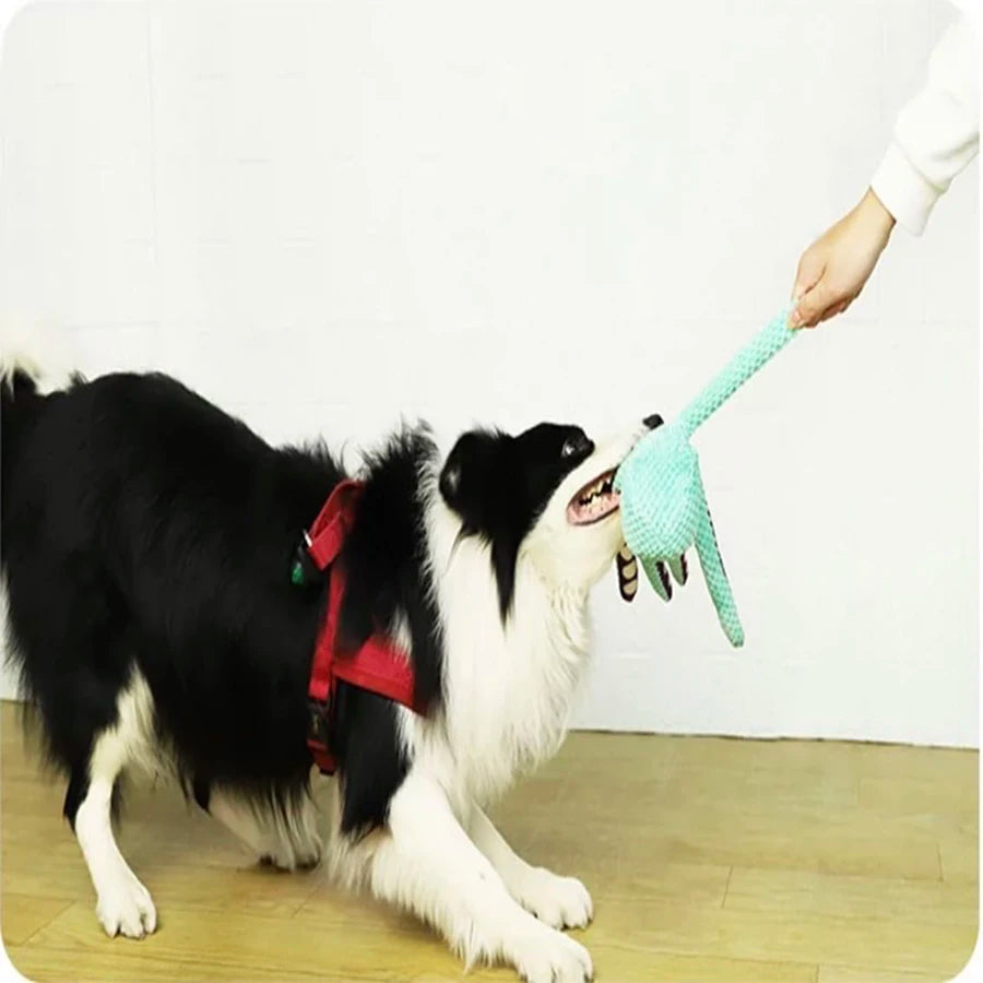Octopus Chew