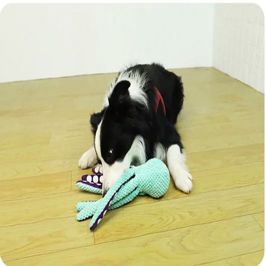 Octopus Chew