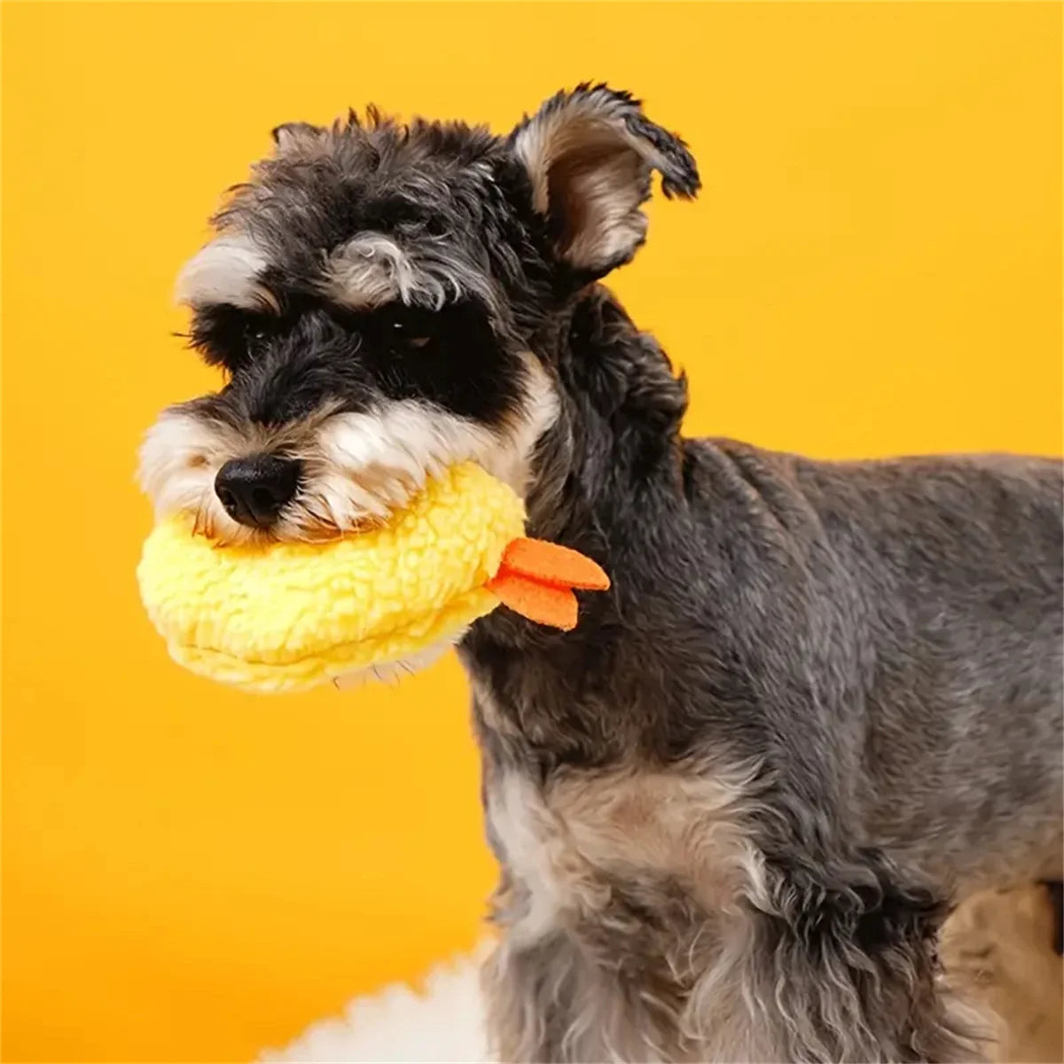 Plush Dog Toy