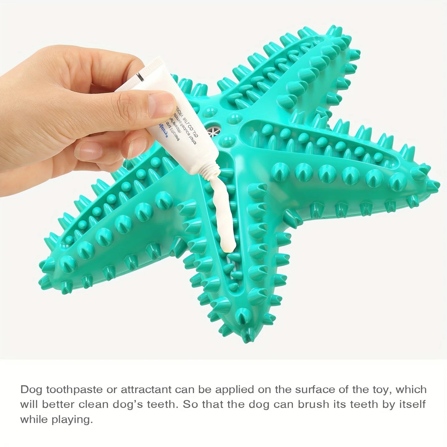 Starfish Chew