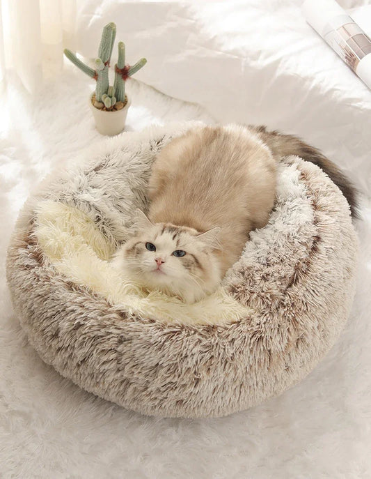 Cozy Nest