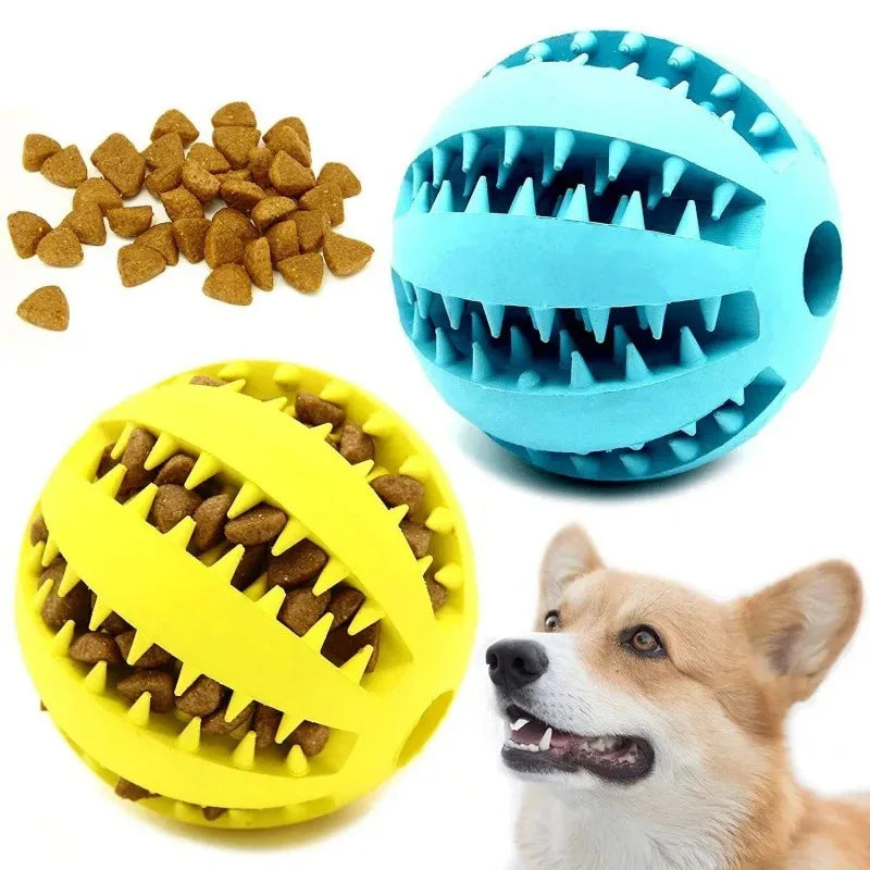 Rubber Ball – Dental Care!