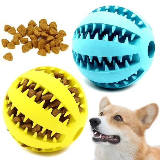 Rubber Ball – Dental Care!