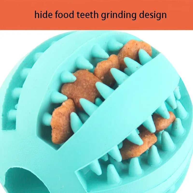 Rubber Ball – Dental Care!