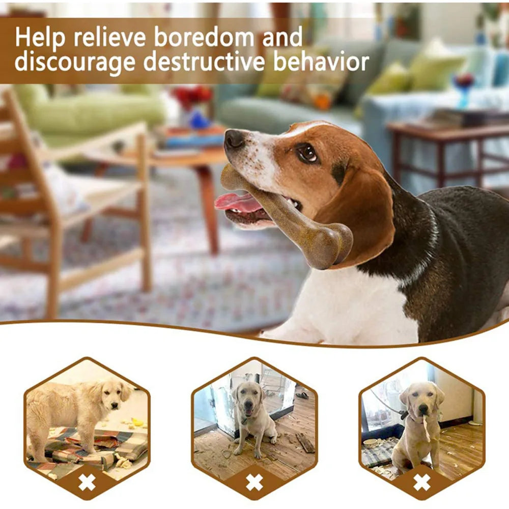 Eco Chew Toy Teeth