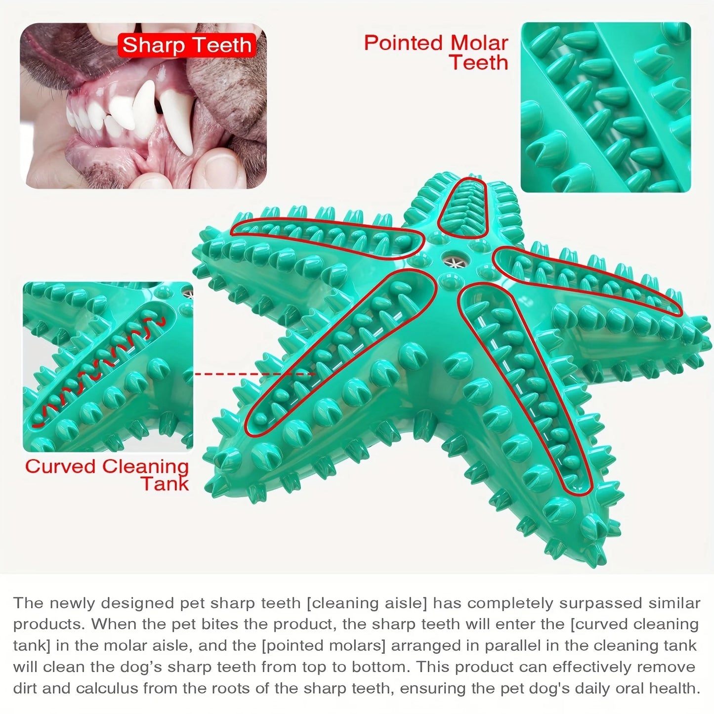 Starfish Chew