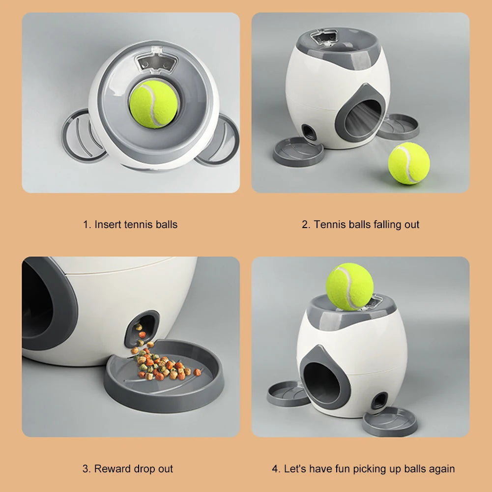 Automatic Food & Toy Launcher