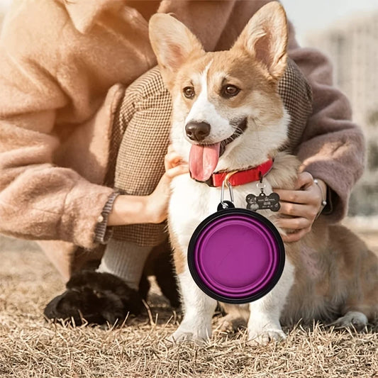 Collapsible Travel Bowl