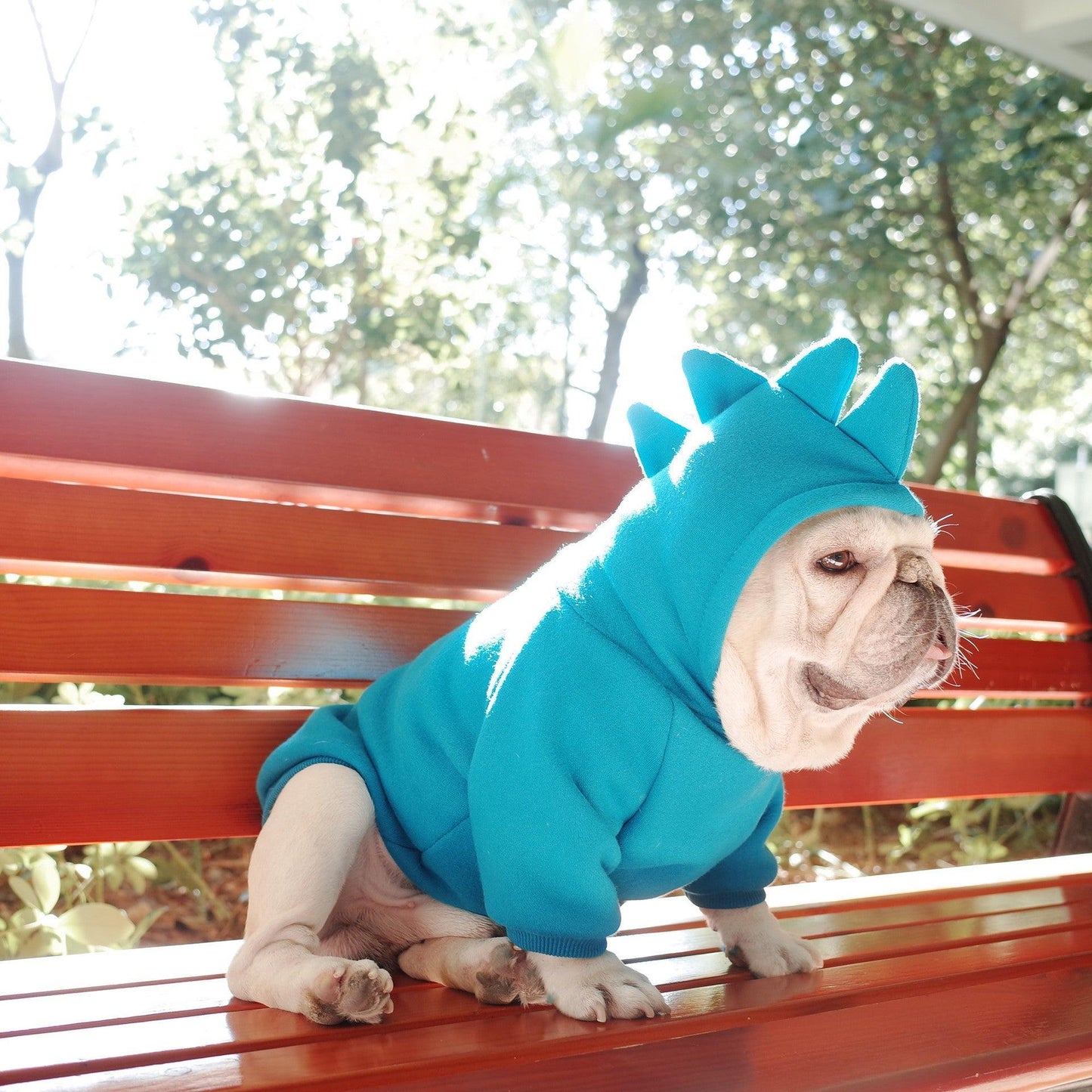 Cozy Canine Fleece Hoodie