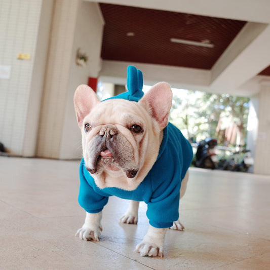 Cozy Canine Fleece Hoodie